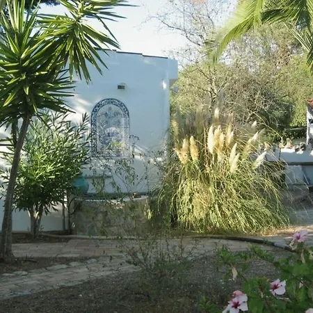 Casa Palmeiras Дом отдыха *