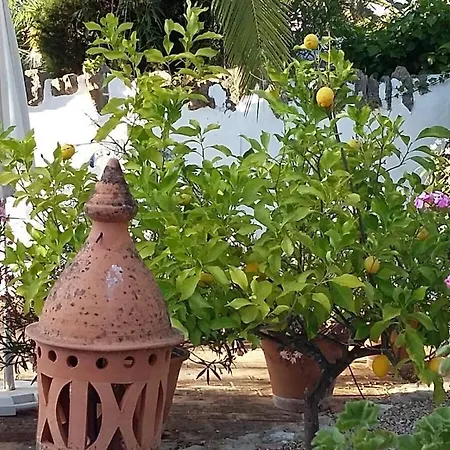 Casa Palmeiras
